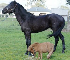 ����� ��������� ������